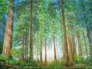 Coastal Redwoods - Jane Girardot Art